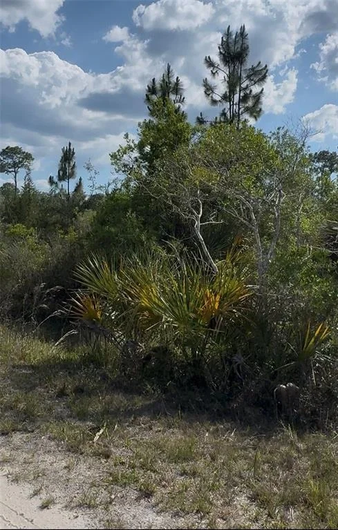 Photo of 18455 QUIET ROAD