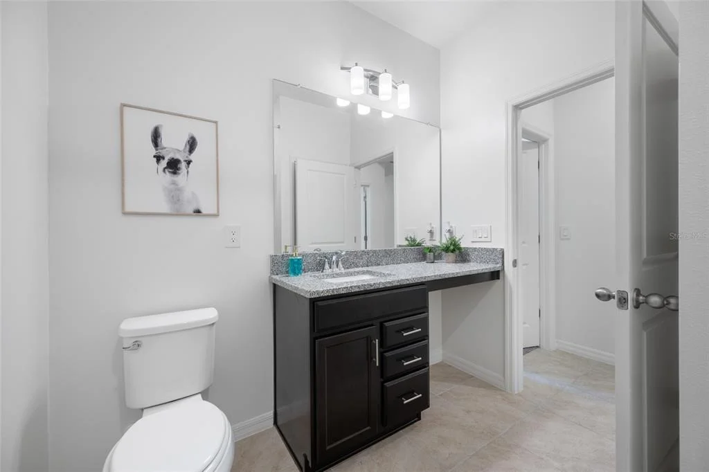 Photo of 20076 AZUL MARBLE LOOP