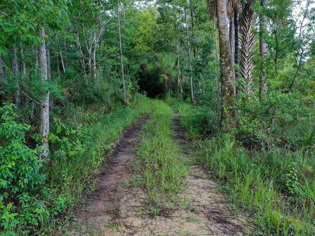 Photo of 37610 OAKLEE ROAD