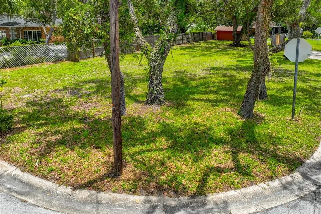 Photo of 1001 PINELLAS STREET