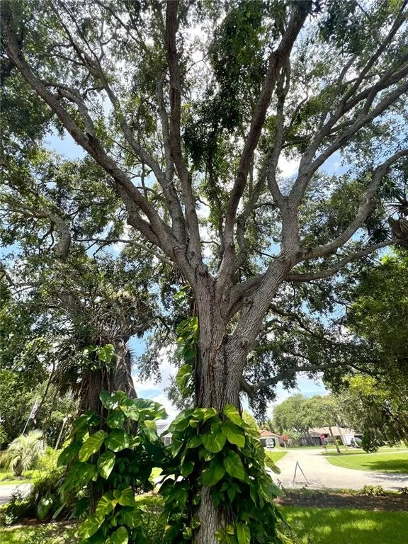 Photo of 1 HARRIS CIRCLE