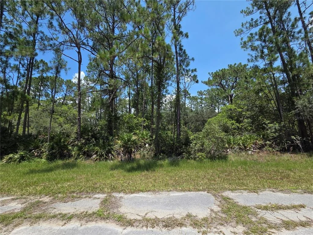 Photo of 0 ALLAMANDA DR