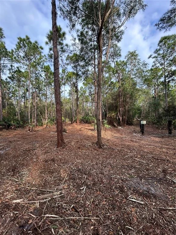 Photo of PANTERA LN