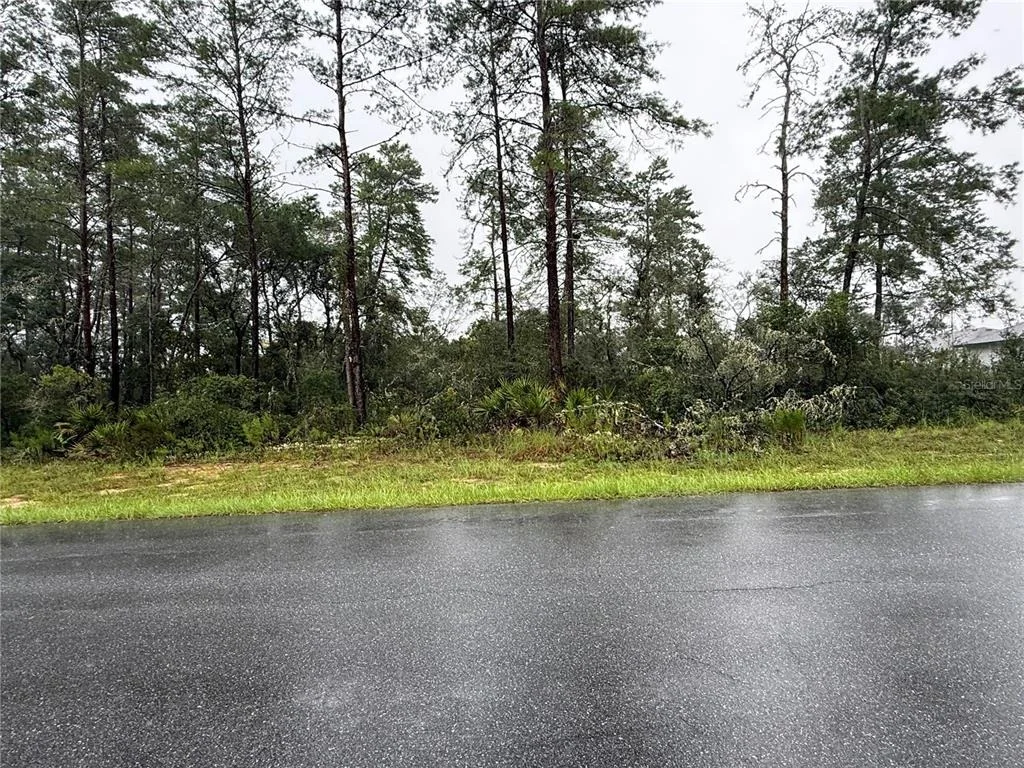 Photo of 0 SW 176TH LOOP