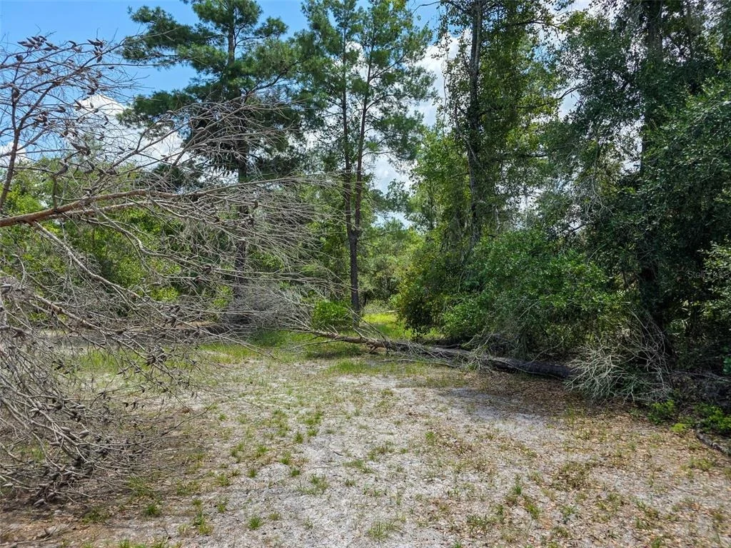 Photo of 340 SAND PINE PLACE