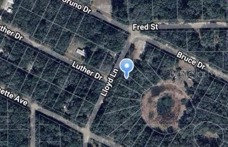 Photo of LLOYD DRIVE