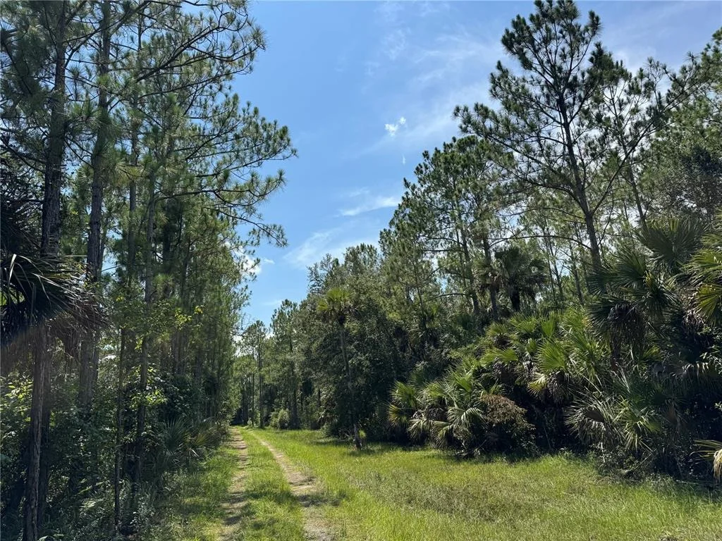 Photo of 4300 JUSTA ROAD