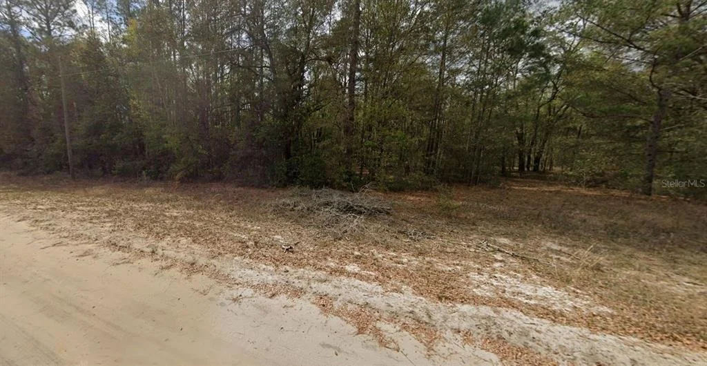 Photo of GUY AVENUE