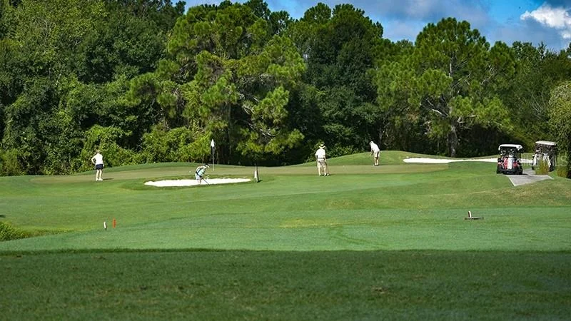 Photo of 29417 CADDYSHACK LANE