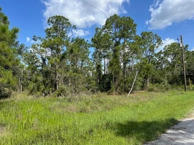Photo of 13036 APACHE DRIVE