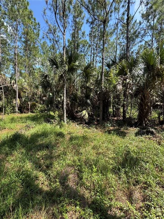 Photo of 4300 JUSTA ROAD