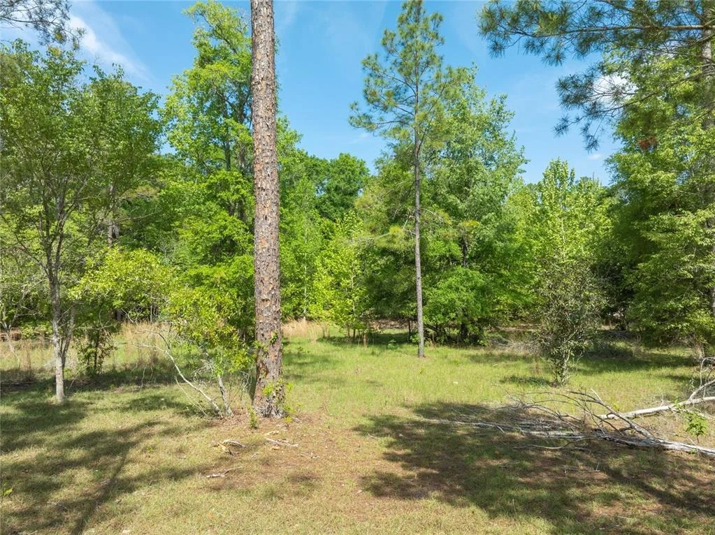 Photo of 0 PINE WAY
