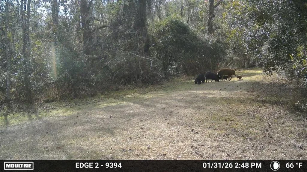 Photo of 11816 SE COUNTY ROAD 234