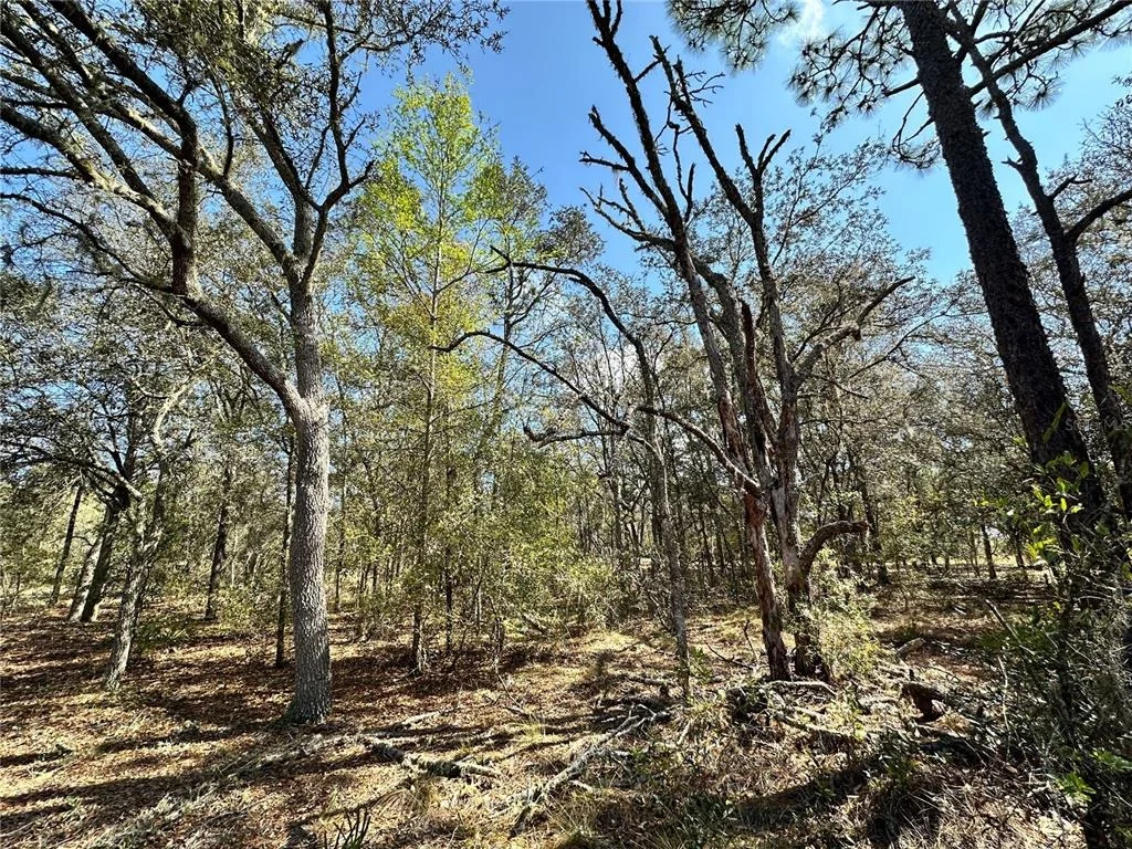 Photo of TBD NE 68TH PLACE
