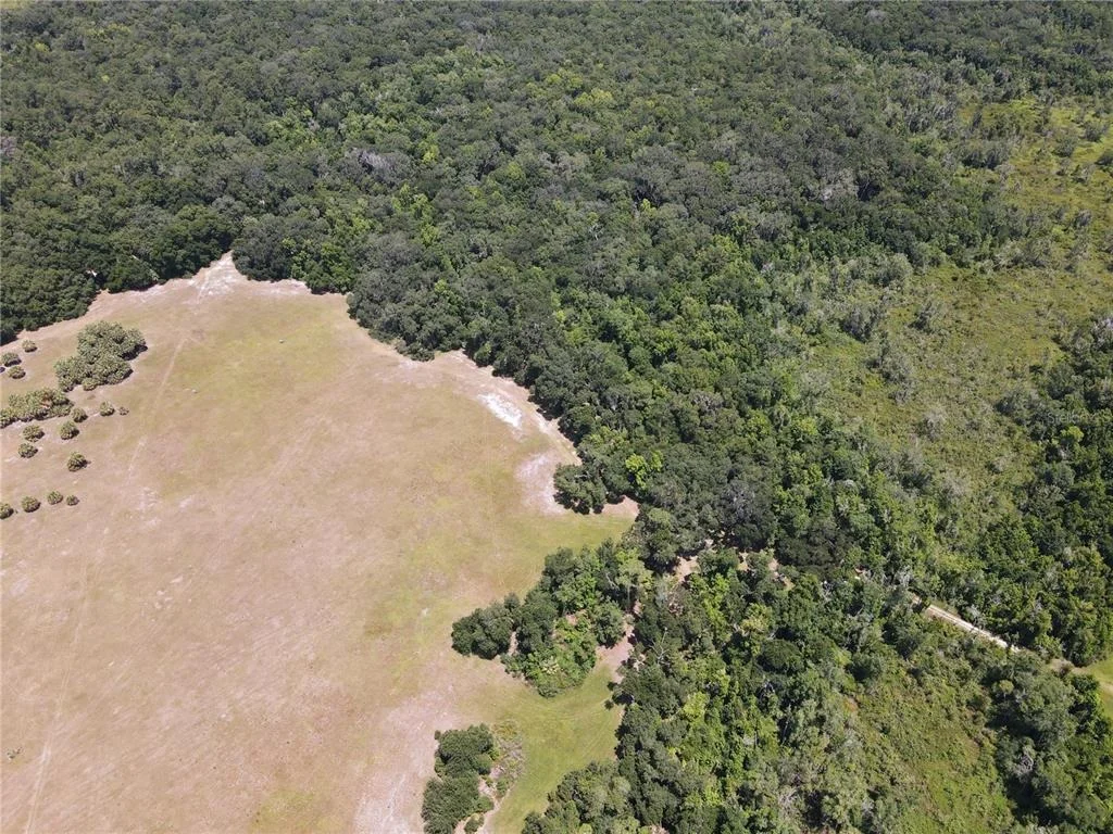 Photo of 11804 SE COUNTY ROAD 234