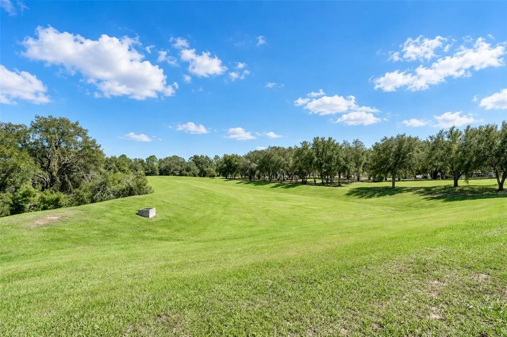 Photo of 585 BLACK EAGLE DRIVE