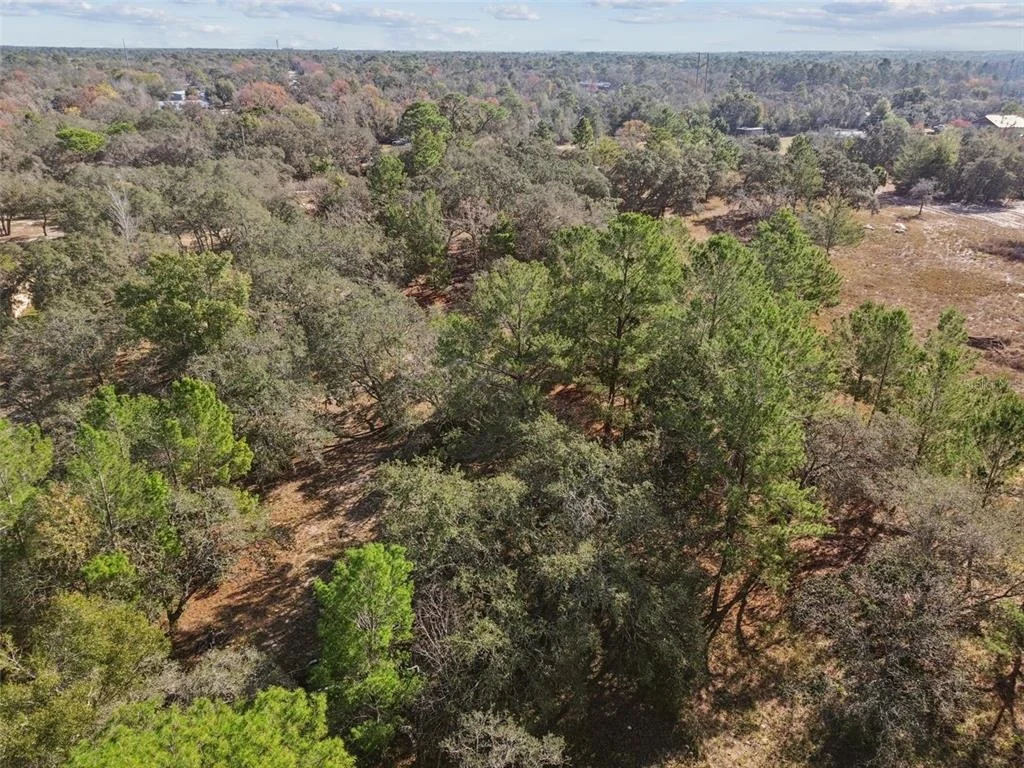 Photo of 14459 COYOTE ROAD