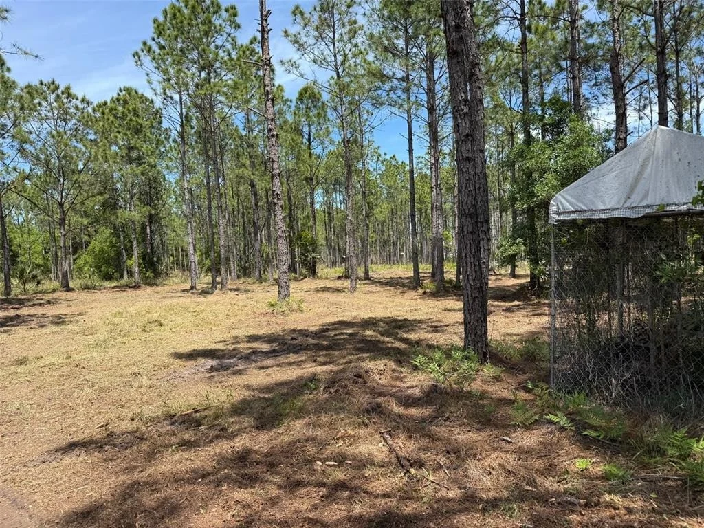 Photo of 60 NATALIES LANE