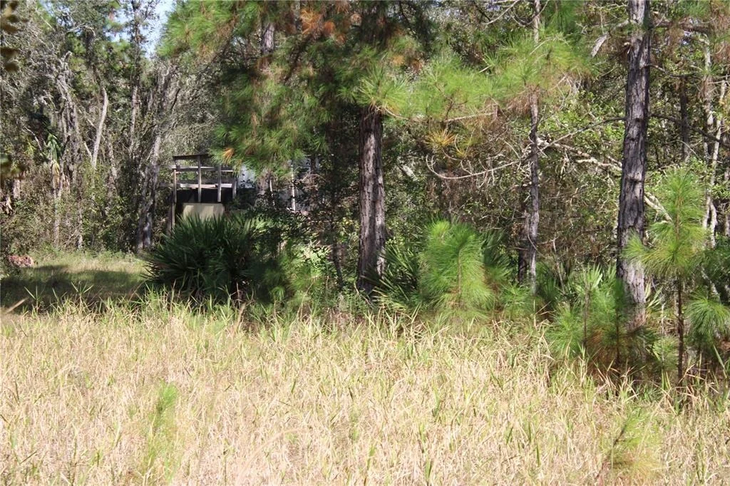Photo of DUBOISE DRIVE