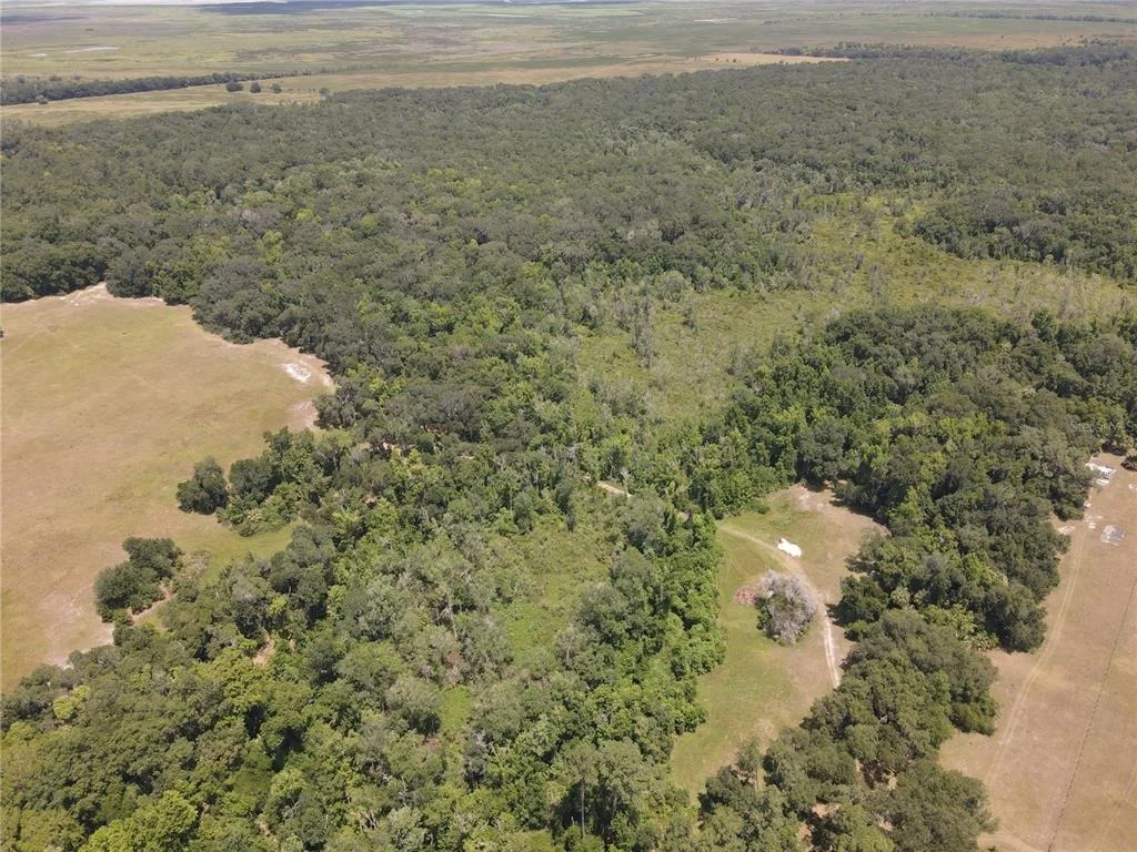 Photo of 11804 SE COUNTY ROAD 234