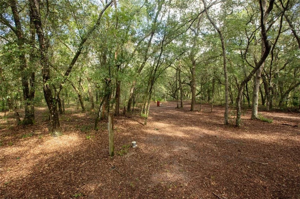 Photo of 5590 JENKINS LOOP DRIVE