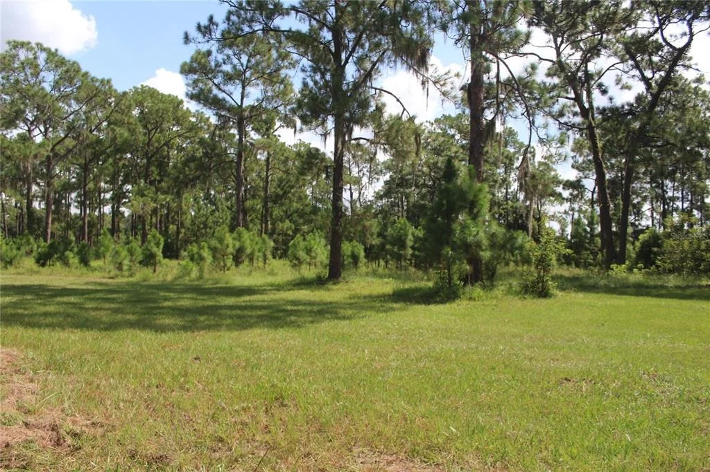 Photo of 0 US HIGHWAY 98 W