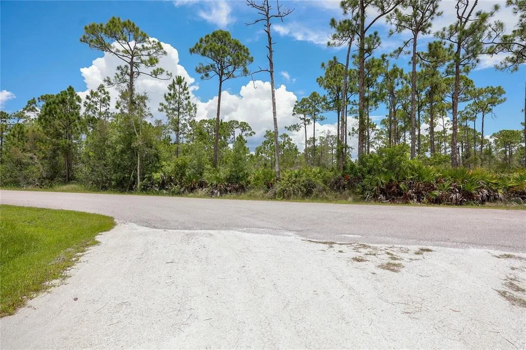 Photo of 28364 PLATO DRIVE