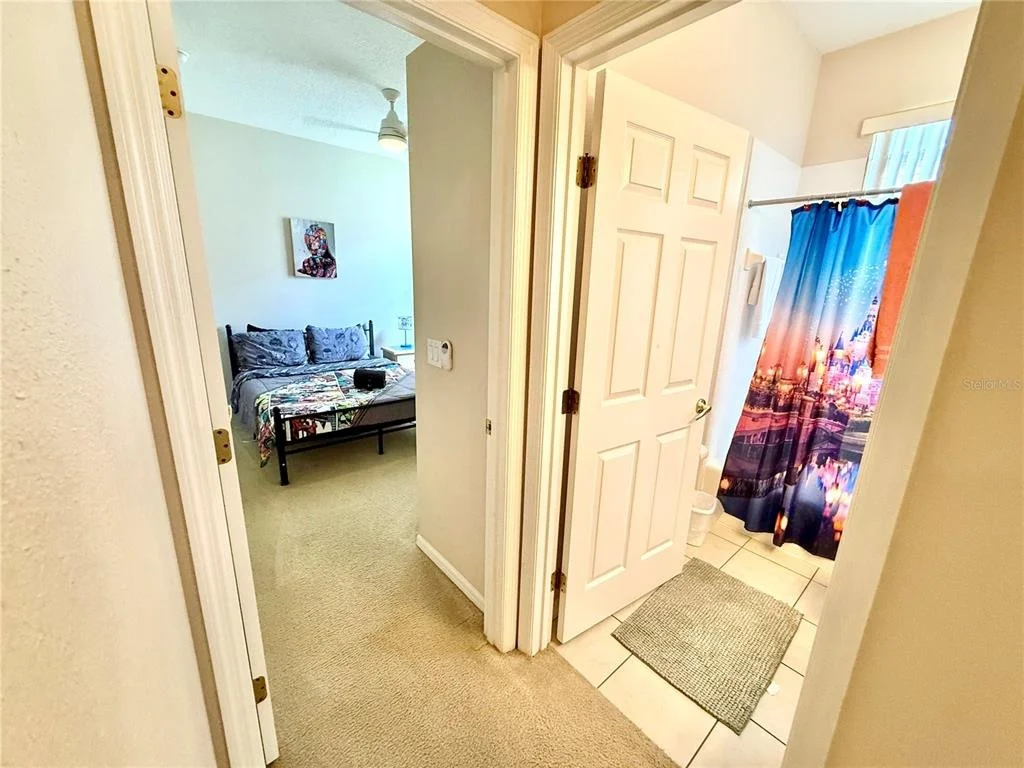 Photo of 113 PLUMOSO LOOP
