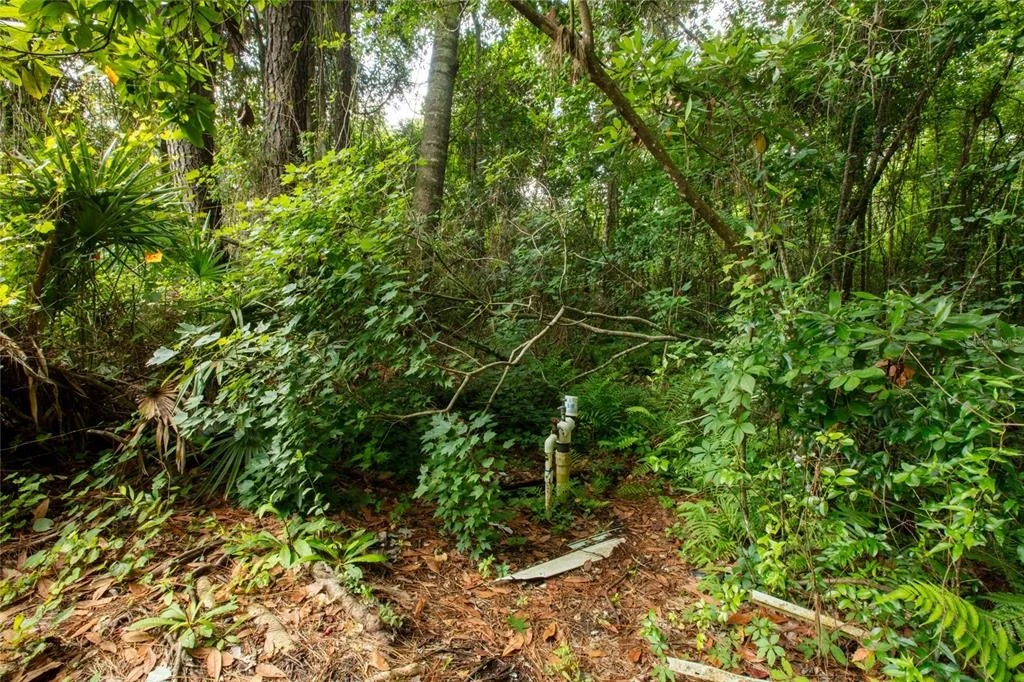 Photo of 5165 CHICORY CIRCLE
