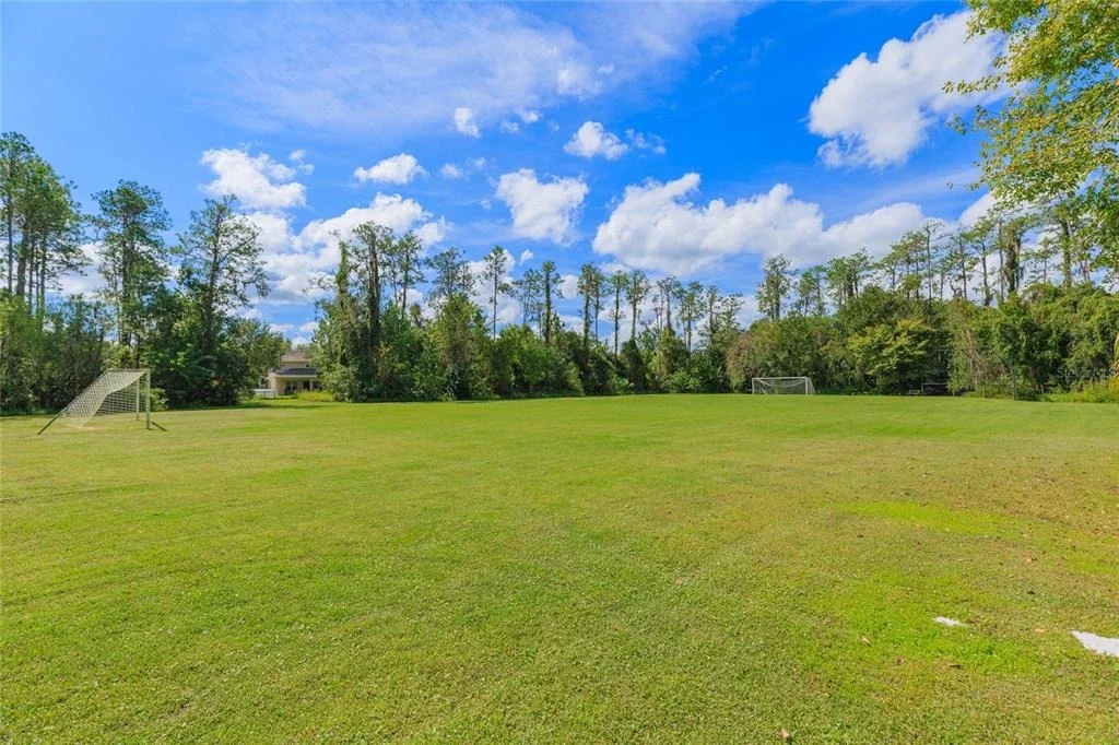 Photo of 26731 WINGED ELM DRIVE
