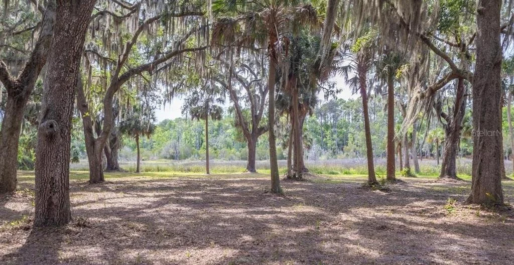 Photo of 7149 FITZPATRICK LANE