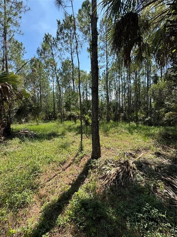 Photo of 4300 JUSTA ROAD