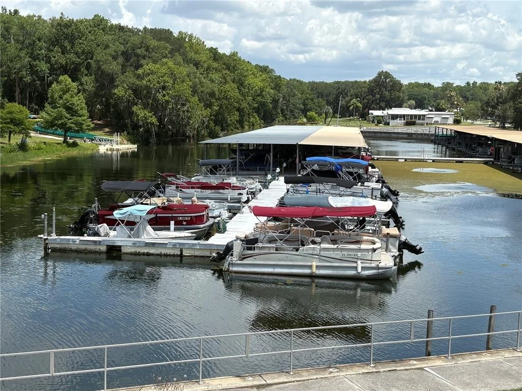 Photo of 137 JACARANDA DRIVE