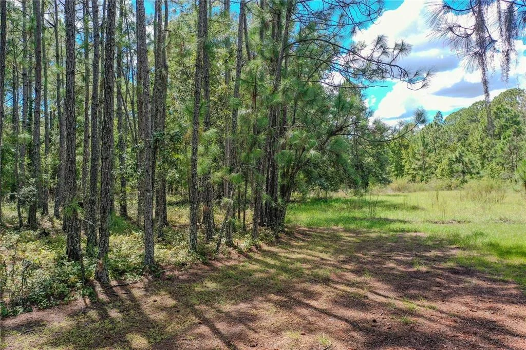 Photo of 747 MIRANDA TRAIL