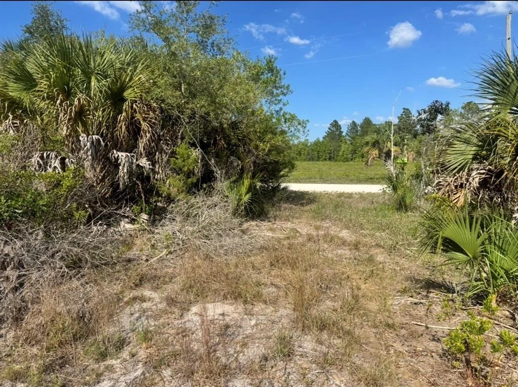 Photo of 18455 QUIET ROAD