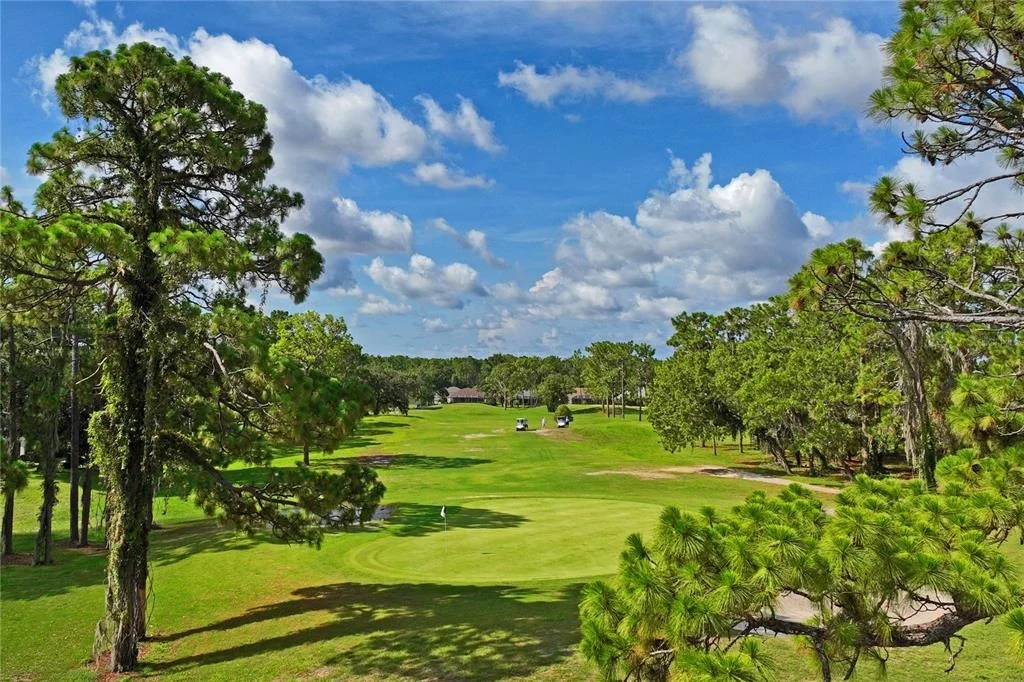 Photo of 14465 MIDDLE FAIRWAY DRIVE