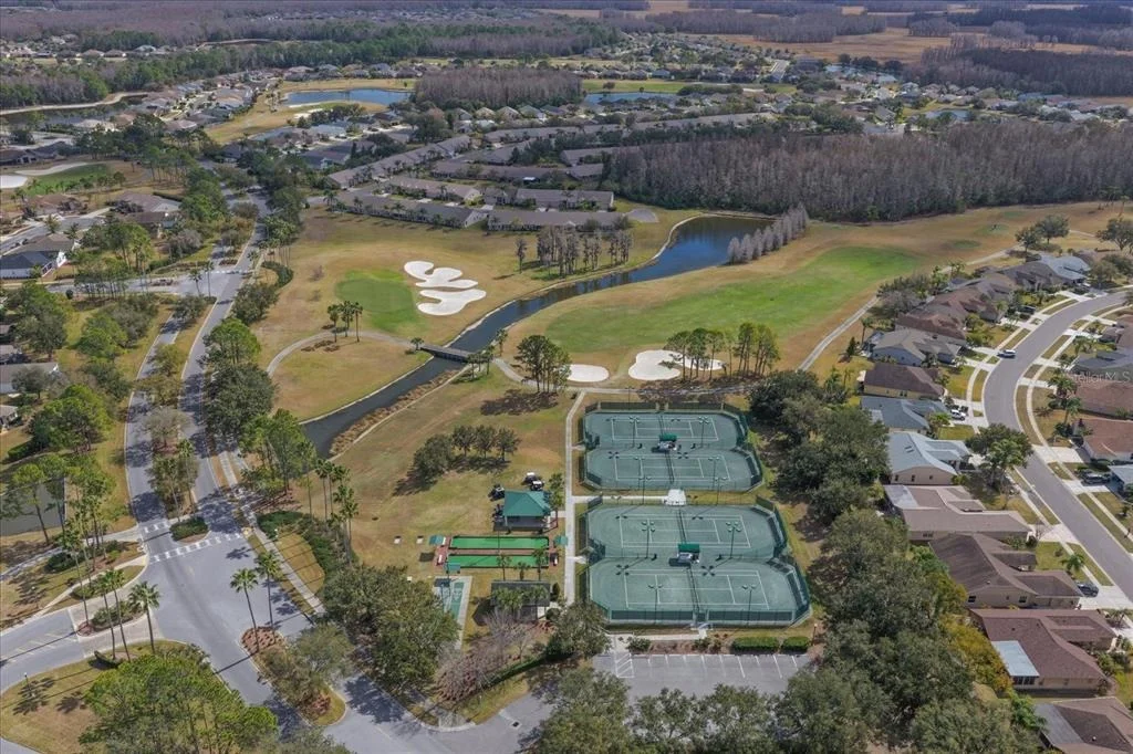 Photo of 1237 RAMBLING VINE COURT