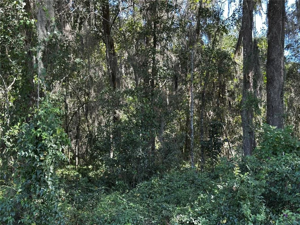 Photo of 0000 NE WALDO ROAD