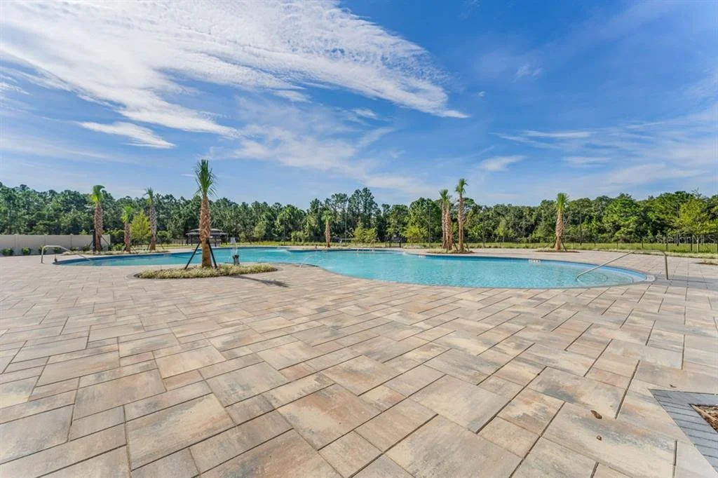 Photo of 2928 ELIO HAMMOCK DRIVE