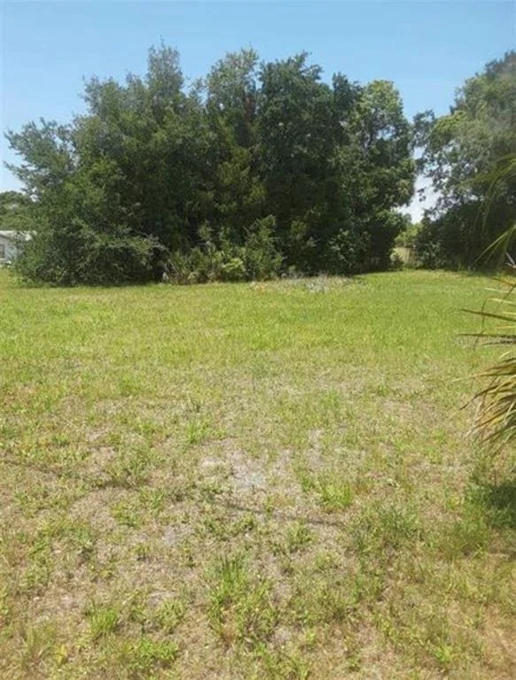 Photo of 8367 LAFITTE DRIVE
