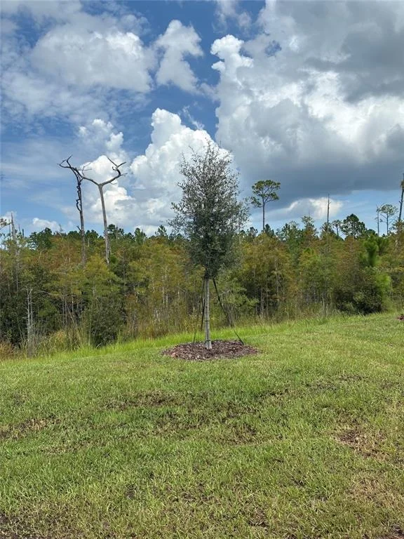 Photo of 133 HEIRLOOM DRIVE