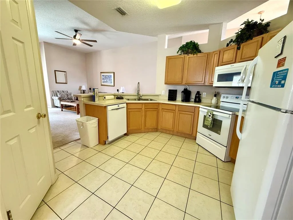 Photo of 113 PLUMOSO LOOP