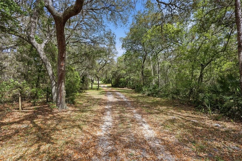 Photo of 4155 MARSH ROAD