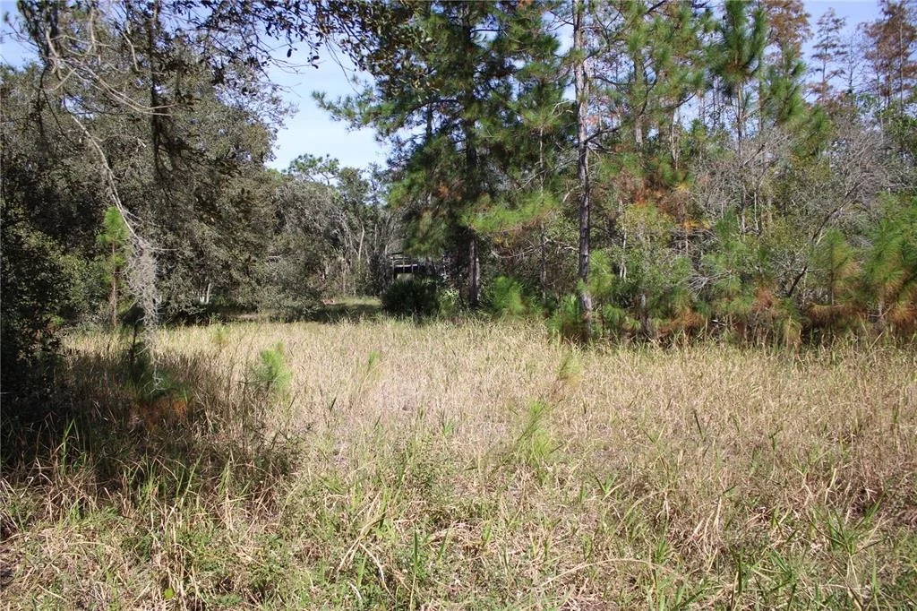 Photo of DUBOISE DRIVE