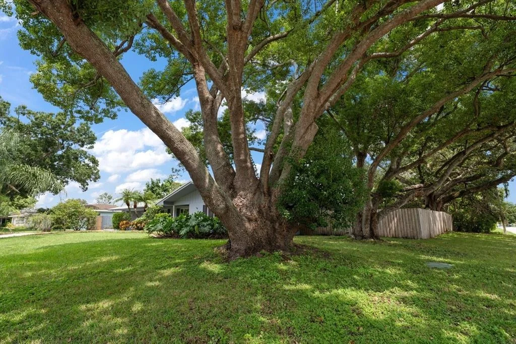 Photo of 1 MAPLEWOOD AVENUE