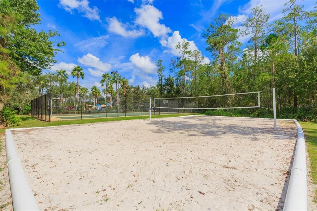 Photo of 26731 WINGED ELM DRIVE