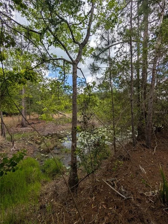 Photo of 38521 ILEX TRAIL