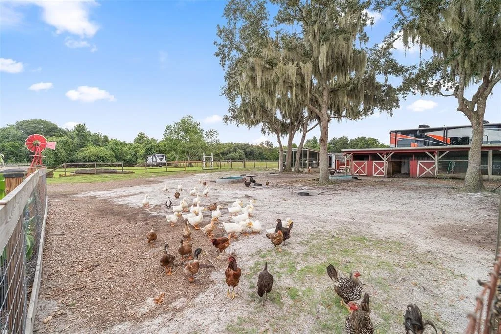 Photo of 4594 HICKORY TREE RD