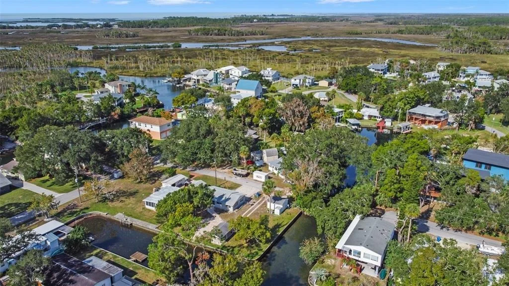 Photo of TEAL DRIVE
