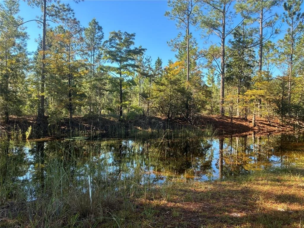 Photo of 24939 OLD DEER ROAD